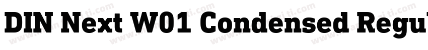 DIN Next W01 Condensed Regular字体转换